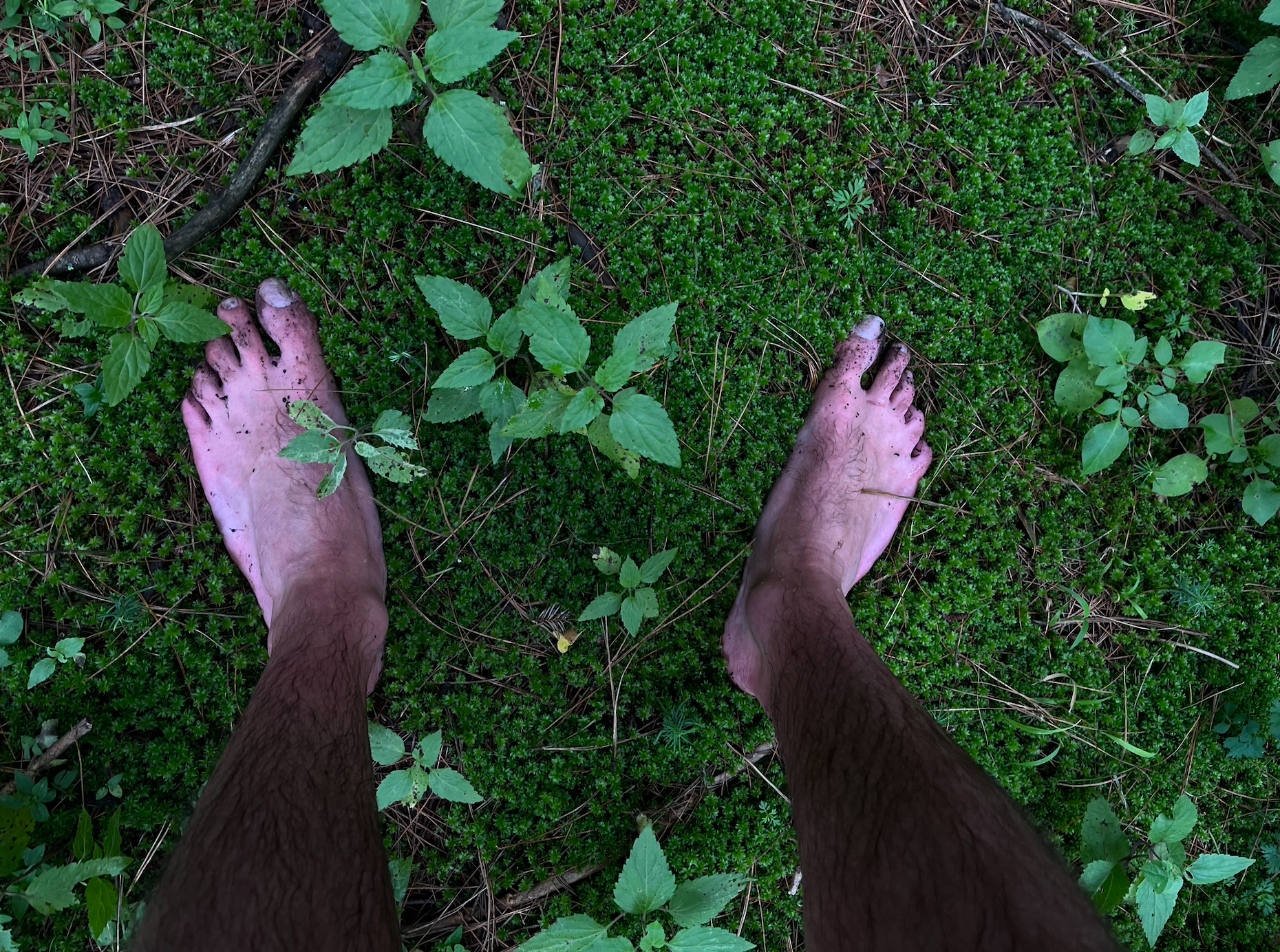 Grounding